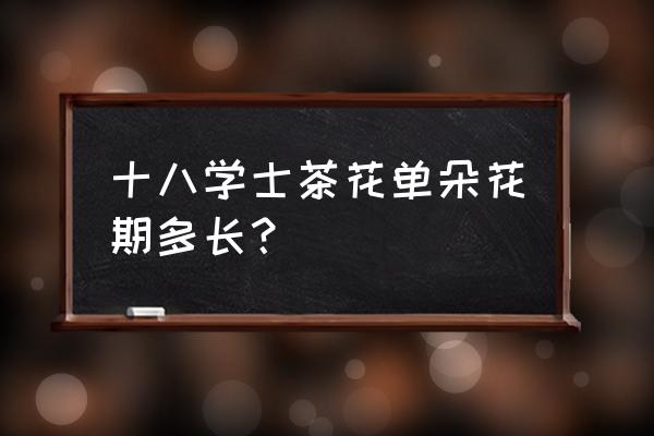 十八学士 十八学士茶花单朵花期多长？