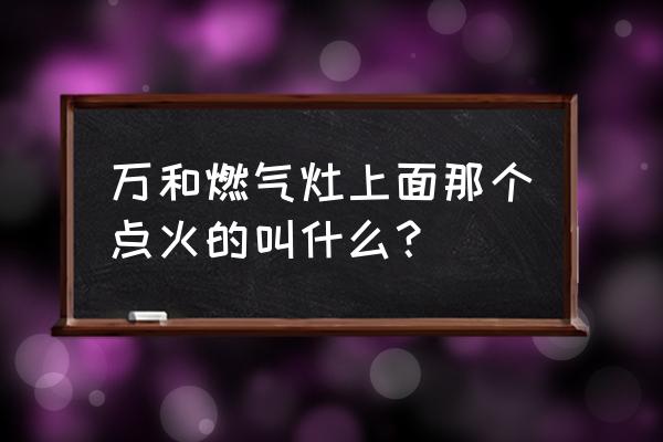 自发极化强度 万和燃气灶上面那个点火的叫什么？