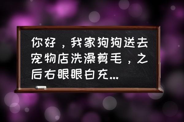 眼白出血是什么原因 你好，我家狗狗送去宠物店洗澡剪毛，之后右眼眼白充血，宠物店的说是？