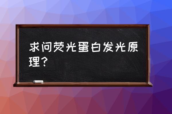 荧光标记蛋白的原理 求问荧光蛋白发光原理？