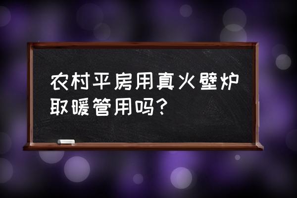 冬天什么取暖器好 农村平房用真火壁炉取暖管用吗？