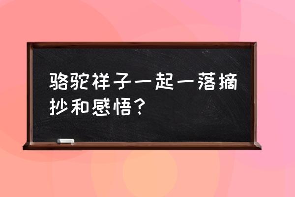 骆驼祥子好段摘抄加感悟 骆驼祥子一起一落摘抄和感悟？