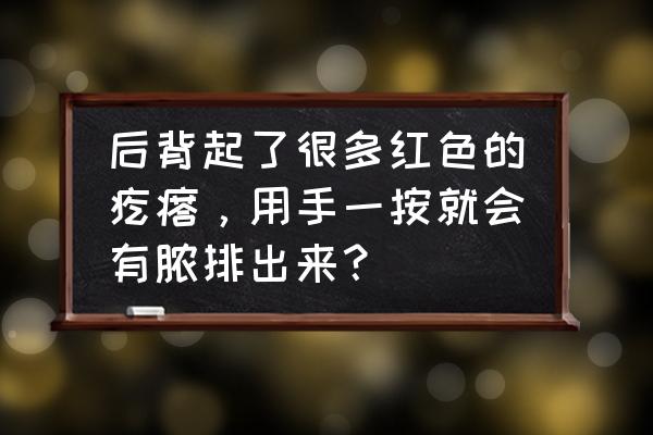 后背起了好多小红疙瘩 后背起了很多红色的疙瘩，用手一按就会有脓排出来？