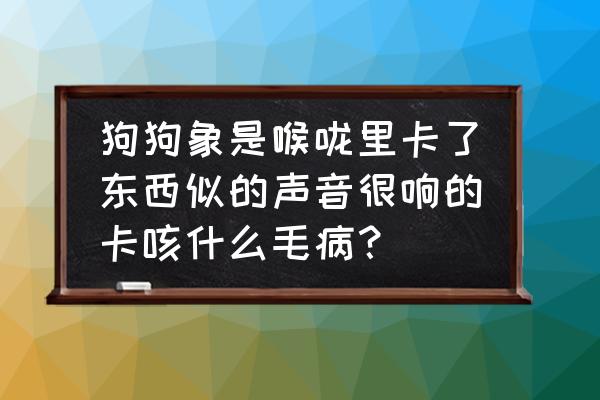 嗓子一直发出咳咳的声音怎么回事 狗狗象是喉咙里卡了东西似的声音很响的卡咳什么毛病？