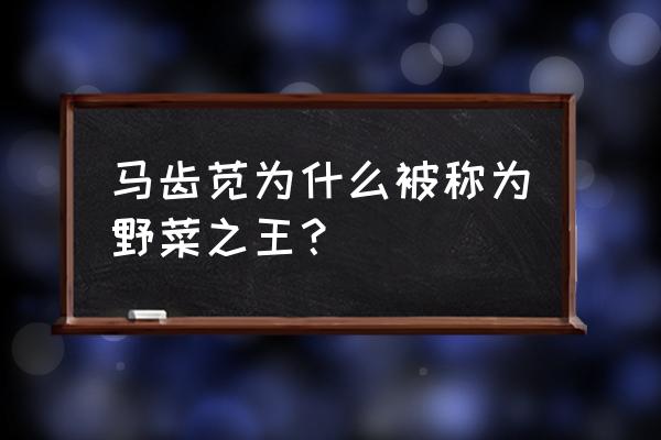 马齿苋野菜功效及图片 马齿苋为什么被称为野菜之王？