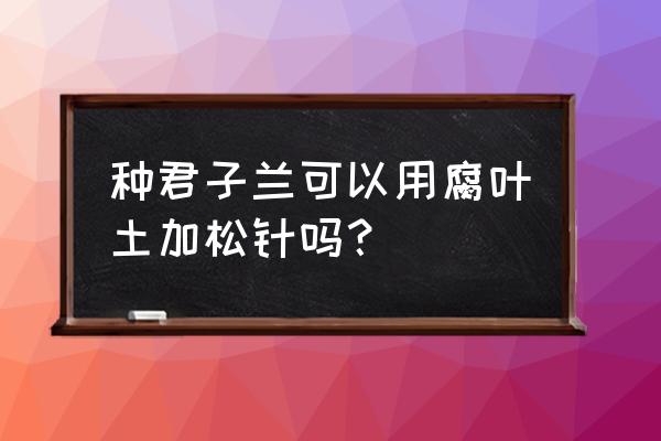 腐叶土松针土最佳比例 种君子兰可以用腐叶土加松针吗？