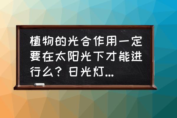 花的用途和功能 植物的光合作用一定要在太阳光下才能进行么？日光灯可不可以让植物进行光合作用啊？