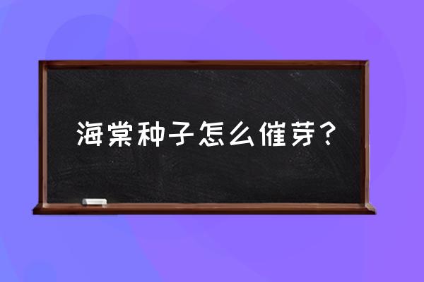 变叶海棠种子 海棠种子怎么催芽？