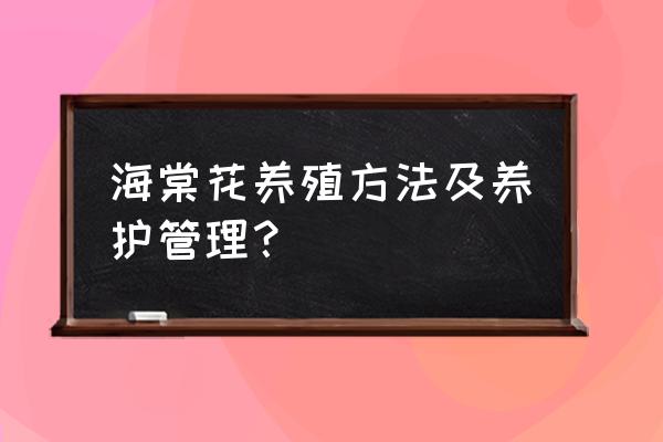 海棠花的种植条件和时间 海棠花养殖方法及养护管理？