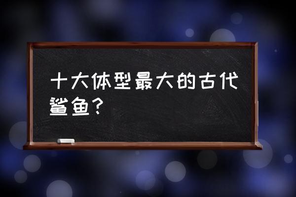 远洋白鳍鲨vs虎鲨 十大体型最大的古代鲨鱼？