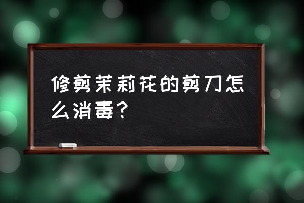 手术区消毒工具 修剪茉莉花的剪刀怎么消毒？