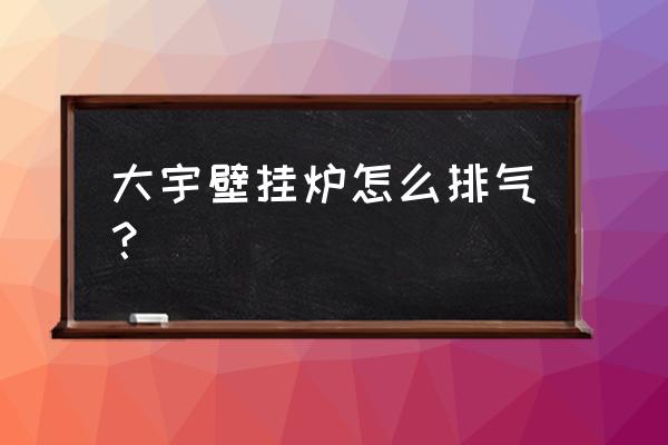 大宇燃气锅炉如何补水 大宇壁挂炉怎么排气？