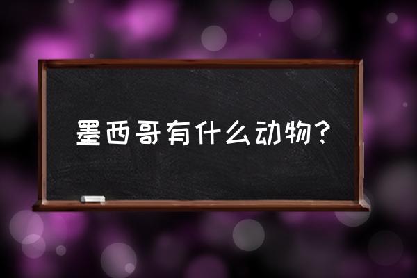 亚马逊水怪之谜 墨西哥有什么动物？