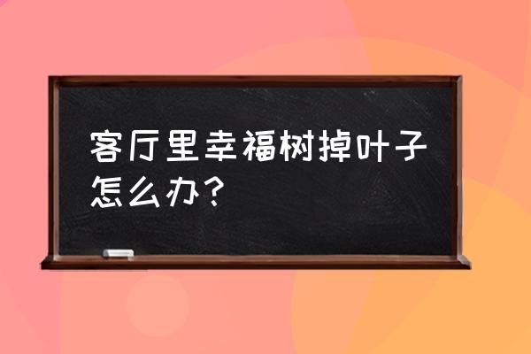 幸福树掉叶子的原因以及解决方法 客厅里幸福树掉叶子怎么办？