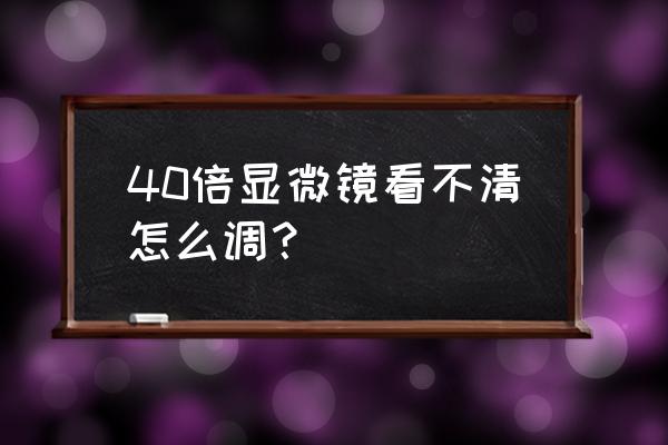 显微镜40倍物镜看不清 40倍显微镜看不清怎么调？