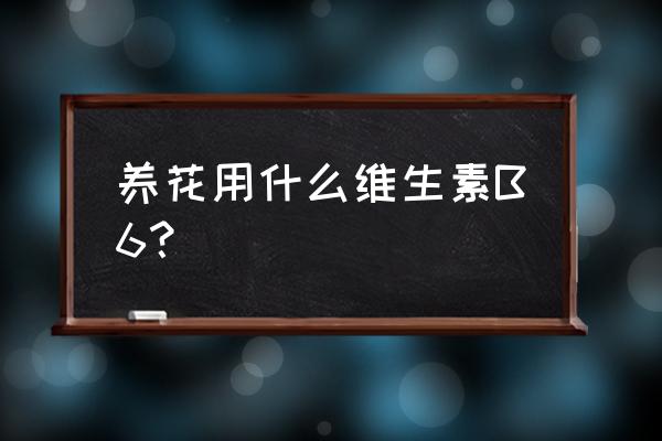 维生素b6的作用 养花用什么维生素B6？