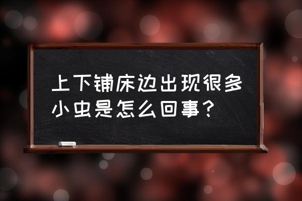 床头有虫子在里面啃木头怎么办 上下铺床边出现很多小虫是怎么回事？