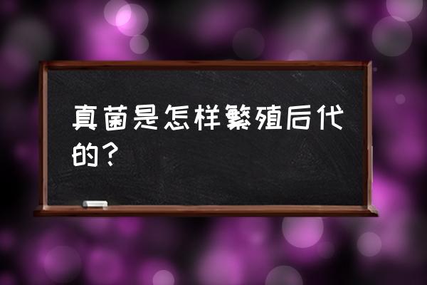 真菌的繁殖方式 真菌是怎样繁殖后代的？