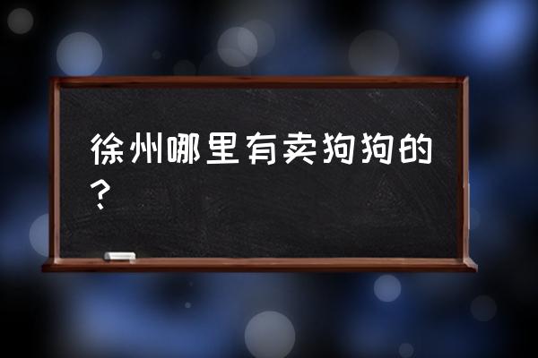 徐州宠物狗市场在哪 徐州哪里有卖狗狗的？