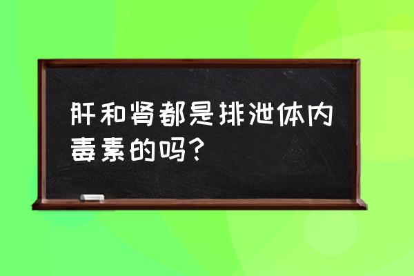 肝代谢不好怎么调理 肝和肾都是排泄体内毒素的吗？