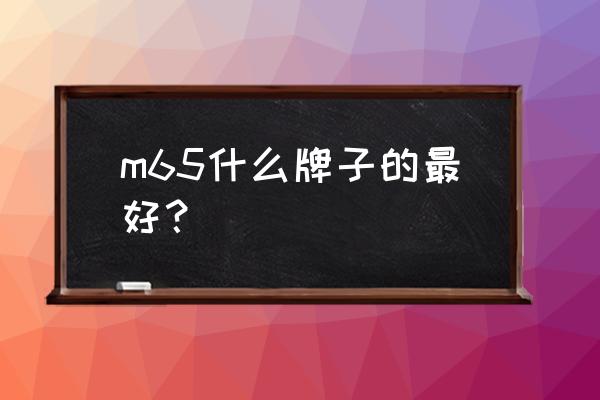 西门子m65评测 m65什么牌子的最好？