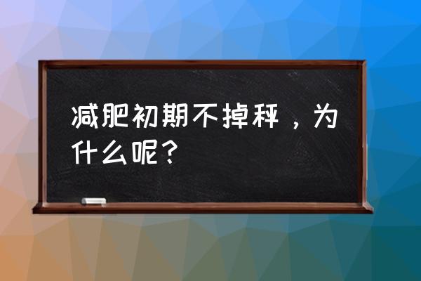 bata是什么意思 减肥初期不掉秤，为什么呢？