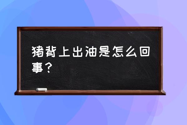 背上老是出油怎么解决 猪背上出油是怎么回事？