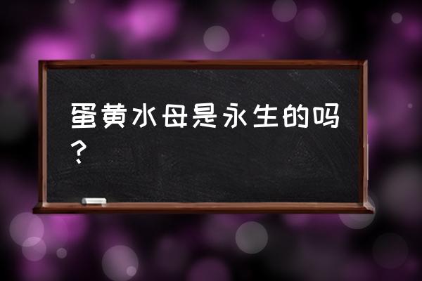 永生水母 蛋黄水母是永生的吗？