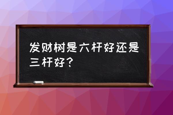 最好的发财树盆景图片 发财树是六杆好还是三杆好？