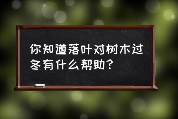 秋天的落叶手工粘贴画 你知道落叶对树木过冬有什么帮助？