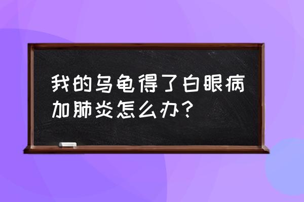 乌龟严重白眼病 我的乌龟得了白眼病加肺炎怎么办？