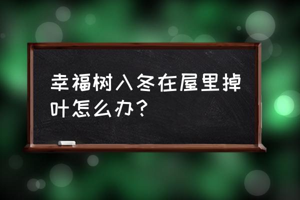 幸福树掉叶怎么补救最快 幸福树入冬在屋里掉叶怎么办？