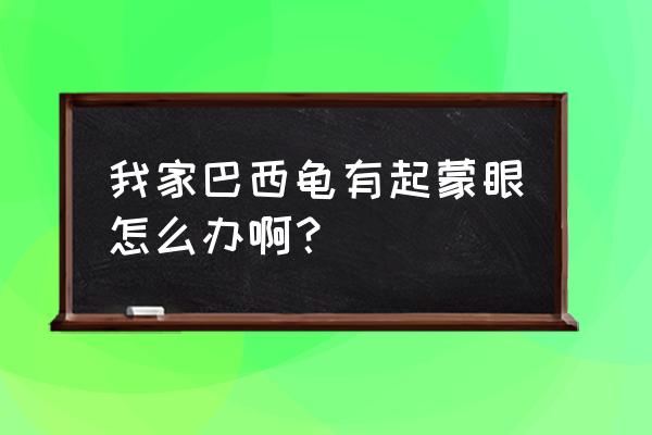 巴西龟得白眼病 我家巴西龟有起蒙眼怎么办啊？