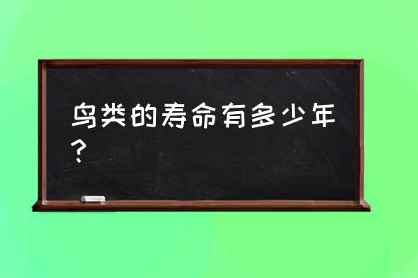 腰突一般寿命多少年 鸟类的寿命有多少年？