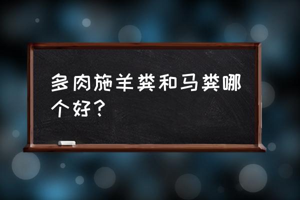 多肉专用肥料里都有什么 多肉施羊粪和马粪哪个好？