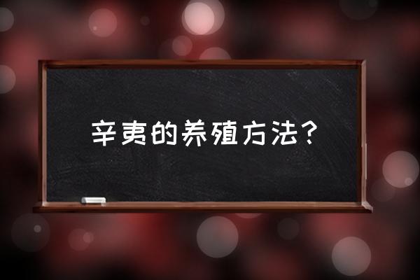 辛夷树苗管理方法 辛夷的养殖方法？