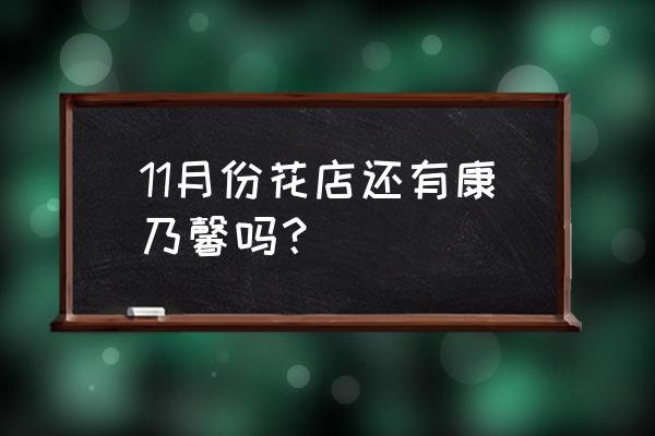 康乃馨种子几月份种植 11月份花店还有康乃馨吗？