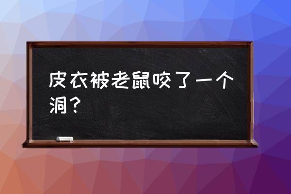 老鼠咬坏了衣服是吉还是凶 皮衣被老鼠咬了一个洞？