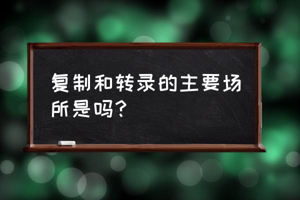 转录和翻译的场所 复制和转录的主要场所是吗？