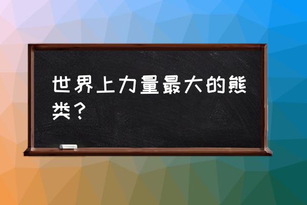 科迪亚克棕熊最大个体 世界上力量最大的熊类？