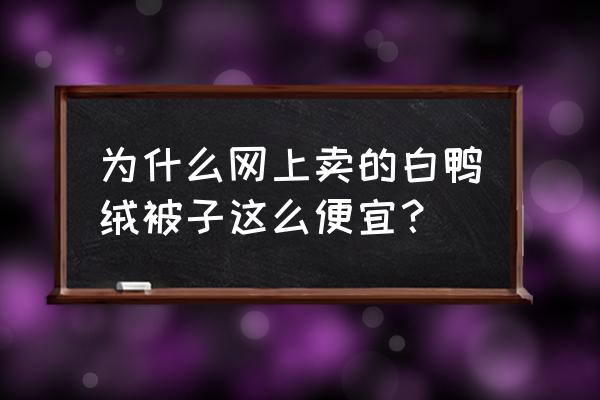 百思寒羽绒被 为什么网上卖的白鸭绒被子这么便宜？