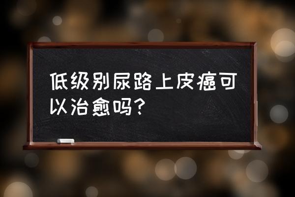 高级别上皮内瘤变内镜能切干净吗 低级别尿路上皮癌可以治愈吗？