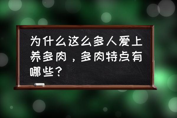 多肉植物照片 为什么这么多人爱上养多肉，多肉特点有哪些？