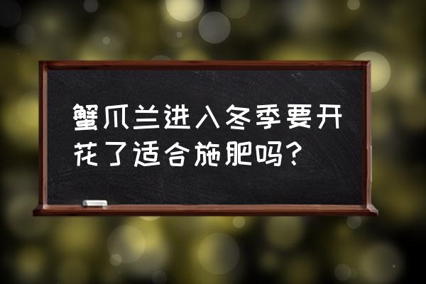 冬天开放什么花 蟹爪兰进入冬季要开花了适合施肥吗？