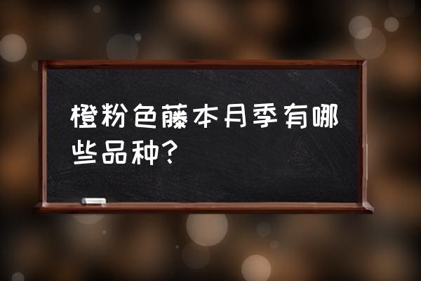 藤本月季品种大全25种 橙粉色藤本月季有哪些品种？