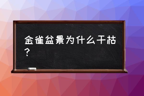 金雀盆景多少钱一棵 金雀盆景为什么干枯？