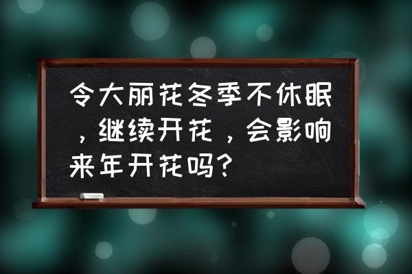 冬季开花的花卉 令大丽花冬季不休眠，继续开花，会影响来年开花吗？