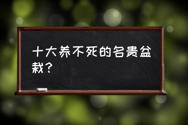 养不死的室内绿植 十大养不死的名贵盆栽？