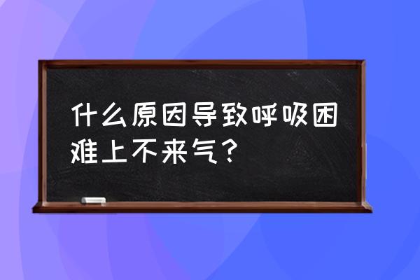 喘不了气呼吸困难 什么原因导致呼吸困难上不来气？