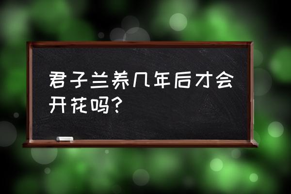 有固定开花时间的花 君子兰养几年后才会开花吗？